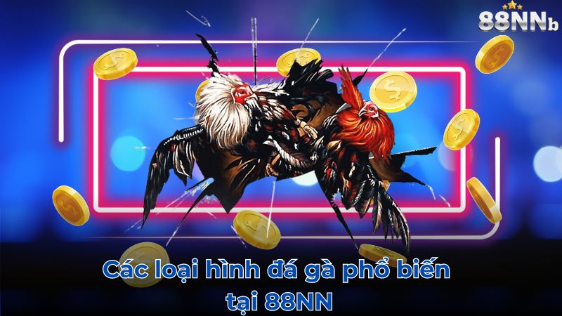 Các loại hình đá gà phổ biến tại 88NN