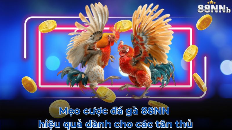 Mẹo cược đá gà 88NN hiệu quả dành cho các tân thủ