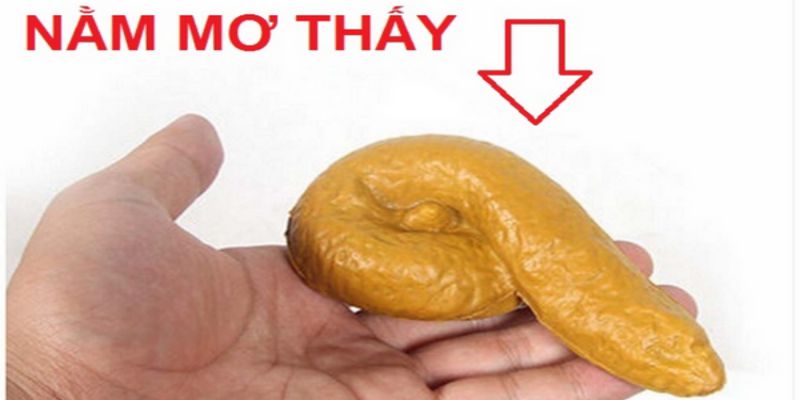 Mơ thấy cứt đánh đề con gì? Mơ thấy cứt của mình