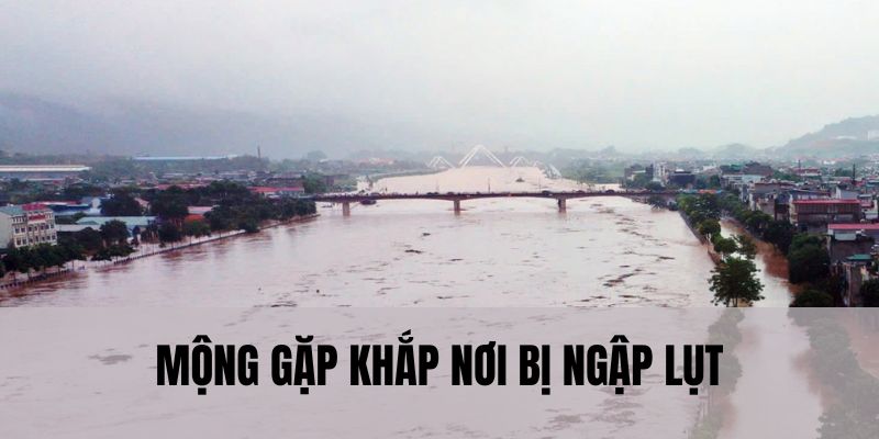 Mộng gặp khắp nơi bị ngập lụt