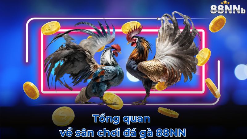 Tổng quan về sân chơi đá gà 88NN
