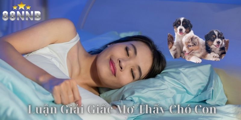 Mơ thấy chó con mang đến cả điềm lành và dữ