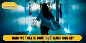 Nằm mơ thấy bị rượt đuổi đánh số gì