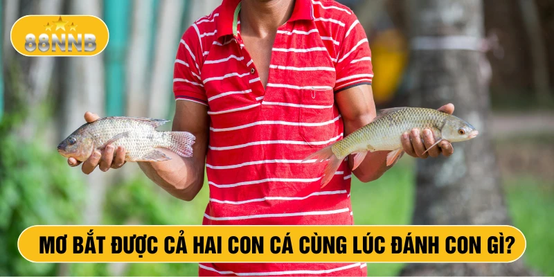 Mơ bắt được cả hai con cá cùng lúc đánh con gì?