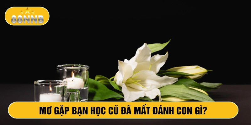 Mơ gặp bạn học cũ đã mất đánh con gì?