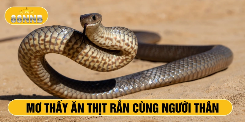 Mơ thấy ăn thịt rắn cùng người thân