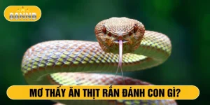 Mơ thấy ăn thịt rắn đánh con gì?