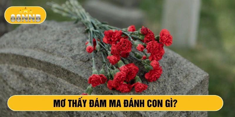 Mơ thấy đám ma đánh con gì?