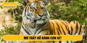 Mơ thấy hổ đánh con gì?