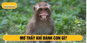 Mơ thấy khỉ đánh con gì