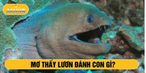 Mơ thấy lươn đánh con gì