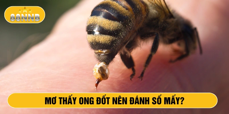 Mơ thấy ong đốt nên đánh số mấy?