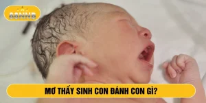 Mơ thấy sinh con đánh con gì?