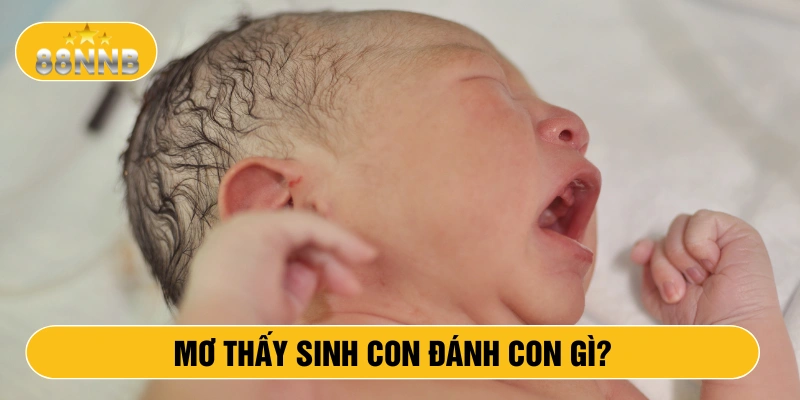Mơ thấy sinh con đánh con gì?