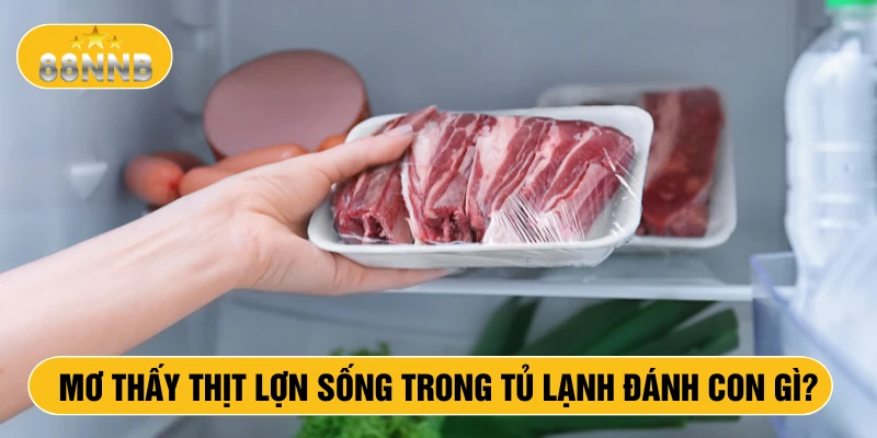 Mơ thấy thịt lợn sống trong tủ lạnh đánh con gì?