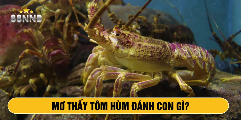 Mơ thấy tôm hùm đánh con gì?