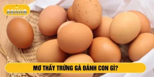 Mơ thấy trứng gà đánh con gì?
