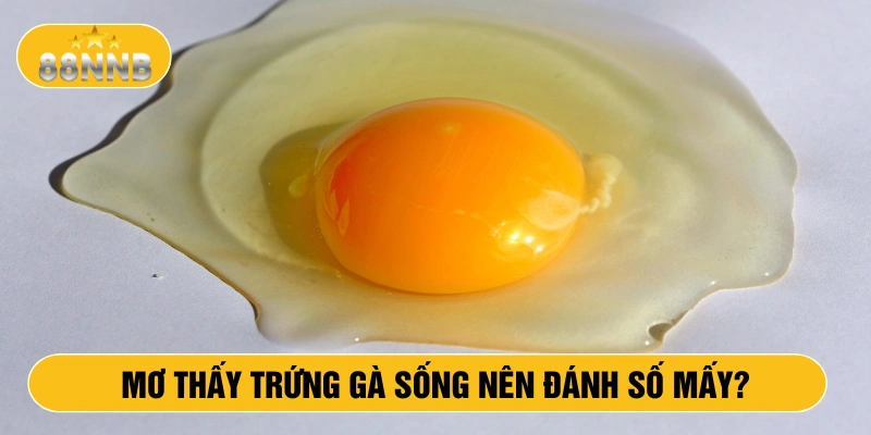 Mơ thấy trứng gà sống nên đánh số mấy?