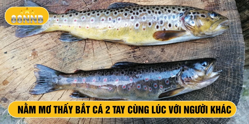 Nằm mơ thấy bắt cá 2 tay cùng lúc với người khác