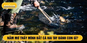 Nằm mơ thấy mình bắt cá 2 tay đánh con gì