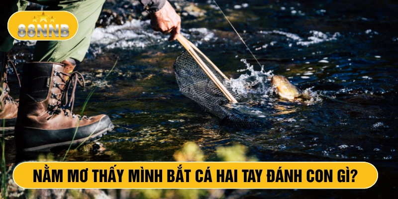 Nằm mơ thấy mình bắt cá 2 tay đánh con gì