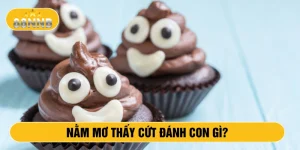 nằm mơ thấy cứt đánh con gì?
