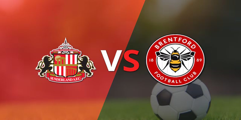 Thống kê phong độ Sunderland vs Brentford trước trận