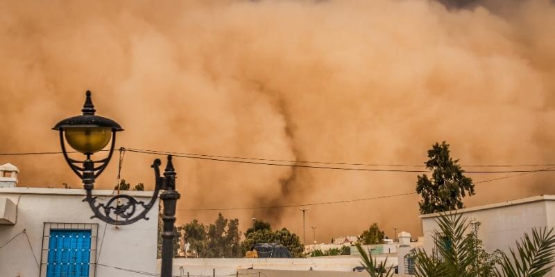 Nằm mơ thấy bão cát sa mạc xuất hiện vô cùng dữ dội