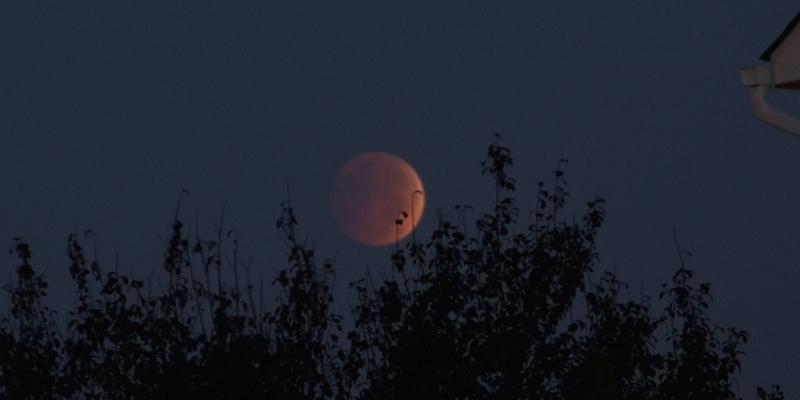 Nhiều trăng máu xuất hiện trong mộng phản ánh sự hỗn loạn