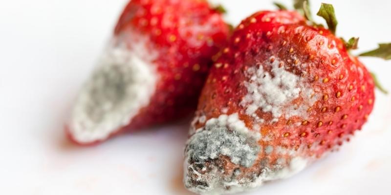 Mơ thấy ăn trái cây chín bị hỏng và điềm báo